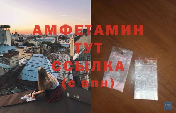 мет Инсар