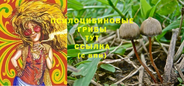 а пвп мука Инта