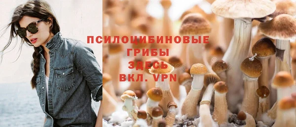 а пвп мука Инта