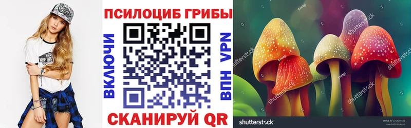 Купить где  Знаменск  Псилоцибиновые грибы Magic Shrooms 